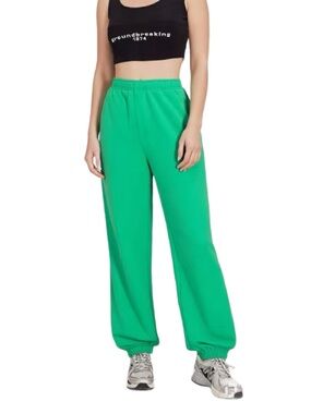 Aritzia Cozy Sweatfleece Mega Jogger in Green Size Medium